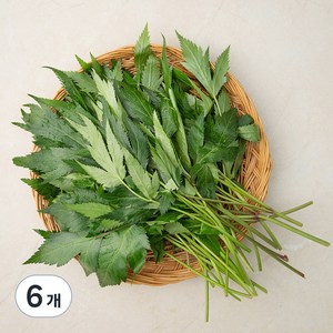 국내산 당귀잎, 100g, 6개