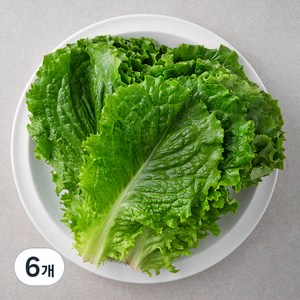 국내산 친환경 청상추, 200g, 6봉