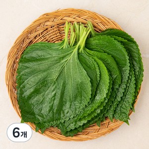 유기농 깻잎, 50g, 6팩