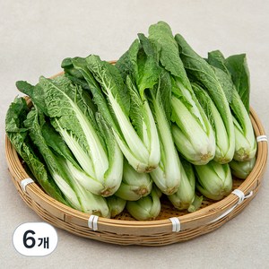 국내산 얼갈이, 1kg, 6개