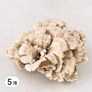 잎새버섯, 120g, 5개