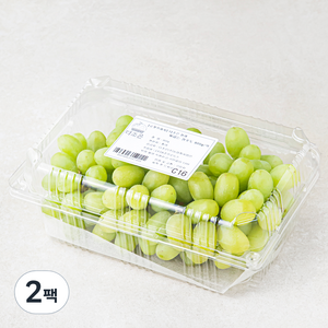 다조은 칠레산 씨없는 청포도, 900g, 2팩