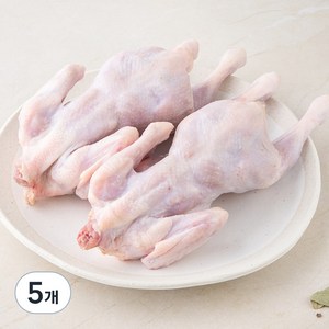 곰곰 유황먹여 키운 두마리 통닭 백숙용 (냉장), 1.1kg, 5개