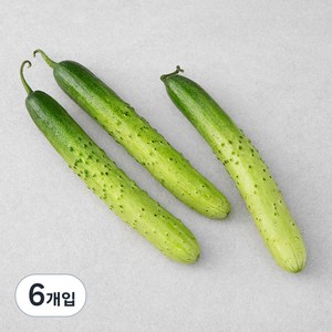 GAP 백오이, 3개입, 2개