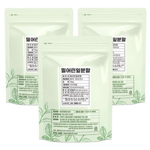 자연초 밀싹가루분말 밀어린잎 분말, 150g, 3개