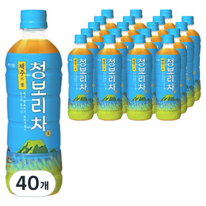 쟈뎅 제주의 봄 청보리차, 500ml, 40개