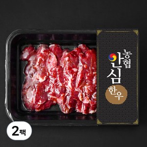 농협안심한우 제비추리 1등급 구이용 (냉장), 200g, 2팩