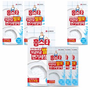 홈스타 보글보글 발포 변기 세정제, 180g, 4개