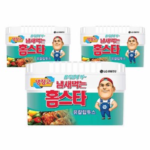 냄새먹는 홈스타 냉장고용 유칼립투스 본품, 420g, 3개