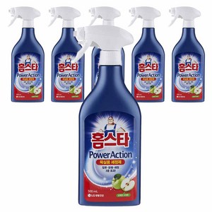 홈스타파워액션 욕실용 세정제, 500ml, 6개