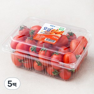 세도농협 GAP 인증 대추 방울 토마토, 750g, 5박스