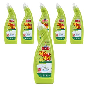 홈스타 락스와세제 허벌 시트러스, 750ml, 6개