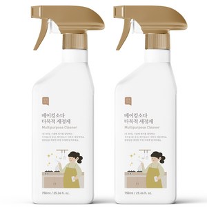 쉼표365 베이킹소다 대용량 다목적 세정제, 2개, 750ml