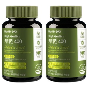 뉴트리디데이 녹차 카테킨 400, 60정, 36g, 2개