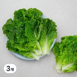 국내산 GAP 청상추, 150g, 3개