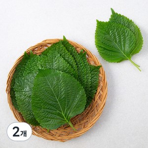 국내산 친환경 깻잎, 100g, 2개