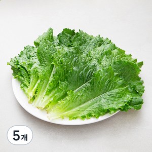 국내산 친환경 청상추, 150g, 5봉