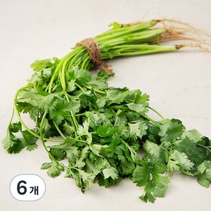 국내산 고수, 100g, 6개