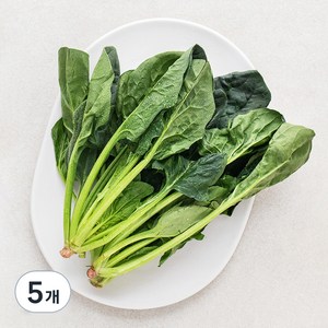국내산 시금치, 100g, 5개