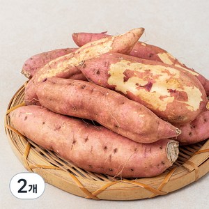 못생겨도 맛있는 호박고구마(햇), 1.5kg, 2봉