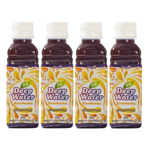 테일러 푸룬 딥워터 콤부차, 4개, 180ml
