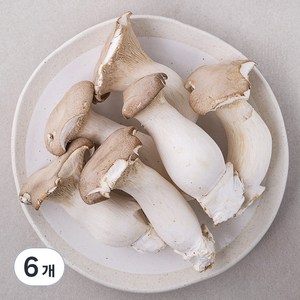 못생겨도 맛있는 새송이버섯, 600g, 6개