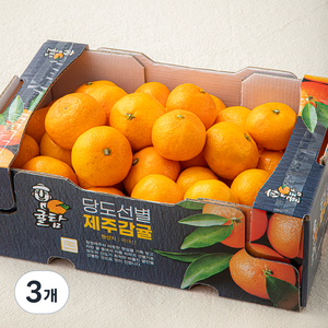 귤탐 당도선별 12bix 감귤, 2kg(소과), 3개