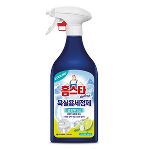 홈스타 맥스프레쉬 욕실용 세정제 쿨링에디션, 500ml, 1개