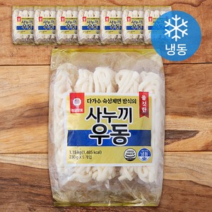 천일냉동 쫄깃한 사누끼우동 (냉동), 1.15kg, 8개