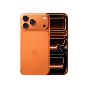 아이폰 17 Pro Max 256GB 상품 이미지