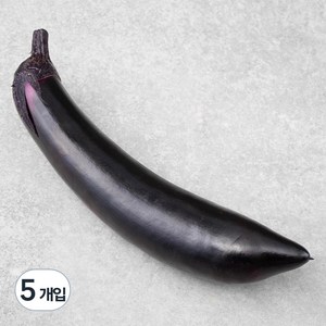 국내산 가지, 1개입, 5개