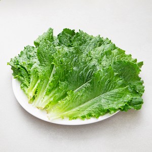 국내산 친환경 청상추, 150g, 1봉