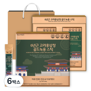 개성고려삼인 6년근 고려홍삼정 골드녹용 스틱 + 쇼핑백 세트, 360g, 6박스