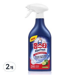 홈스타 맥스프레쉬 욕실청소용 세정제, 2개, 500ml