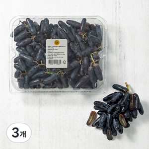블랙사파이어포도, 1200g, 3개