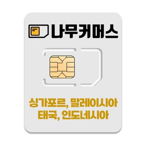 나무커머스 싱가포르 말레이시아 태국 인도네시아 유심, 30일, 총 10GB, 1개