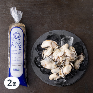 갯마을 남해안 봉지굴 (냉장), 280g, 2봉