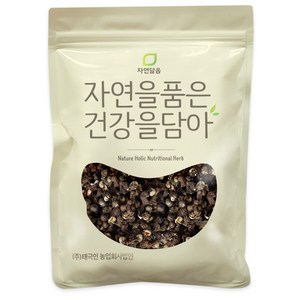 자연닮음 헛개나무 열매, 300g, 1개