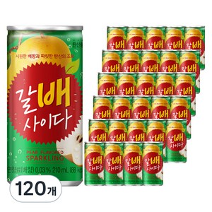 갈배사이다, 210ml, 120개