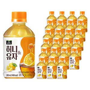 미닛메이드 허니유자, 280ml, 24개