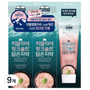 히말라야 핑크솔트 담은 치약 튜브형 아이스, 100g, 9개