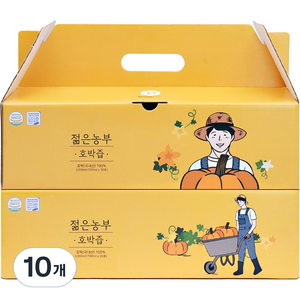푸릇담 젊은농부 호박즙 30p, 3L, 10개