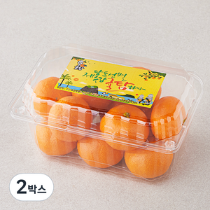 귤탐 당도선별 12bix 감귤, 800g(소과), 2박스