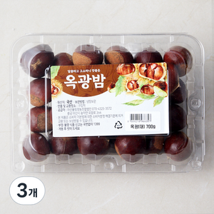 아산율림 옥광 대, 700g, 3개