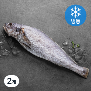 한올레 제주 통민어 (냉동), 2개, 400g(특대)