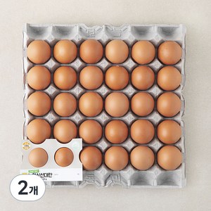 [로켓프레시] 신선 대란 1560g