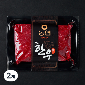 농협 한우 정육 1등급 불고기용 (냉장), 2개, 300g