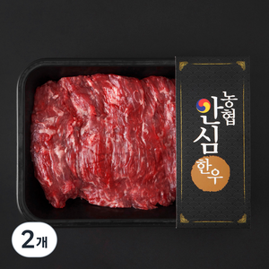 농협안심한우 한우 양지 덩어리 1등급 수육 국거리 장조림용 (냉장), 2개, 600g