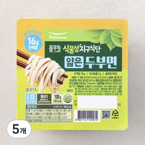 풀무원 식물성지구식단 두부면 얇은면, 100g, 5개