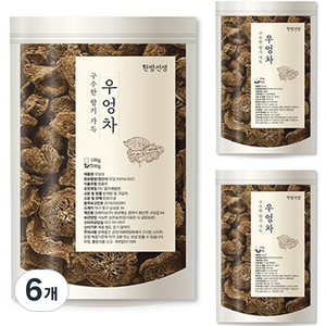 한방선생 볶은 우엉차, 200g, 1개입, 6개